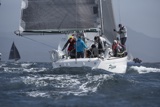 pippa vi 6006c  whyw25 750 _6220